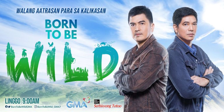 'Born to be Wild' celebrates 15 years with two-part anniversary special