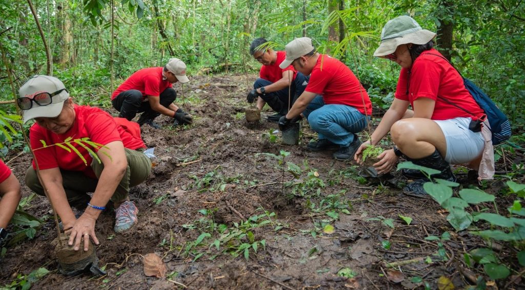 Coca-Cola Philippines Drives Water Stewardship With Reforestation activity at La Mesa Watershed