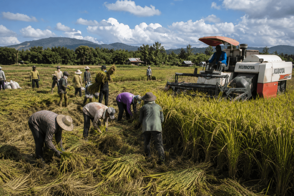 From Fields to Plenary: How Local Producers Are Fighting to Reclaim the Rice Market